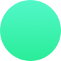 circle icon